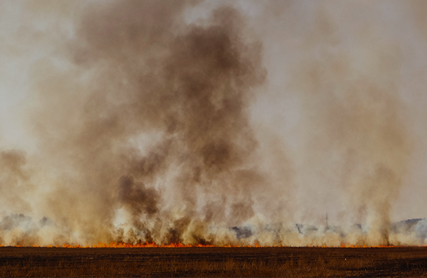 Power from Stubble in India